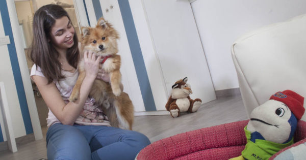 Hotel che accettano animali a igea marina